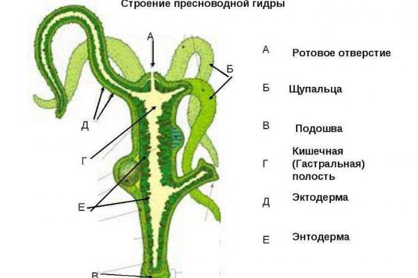 Кракен купить наркотики